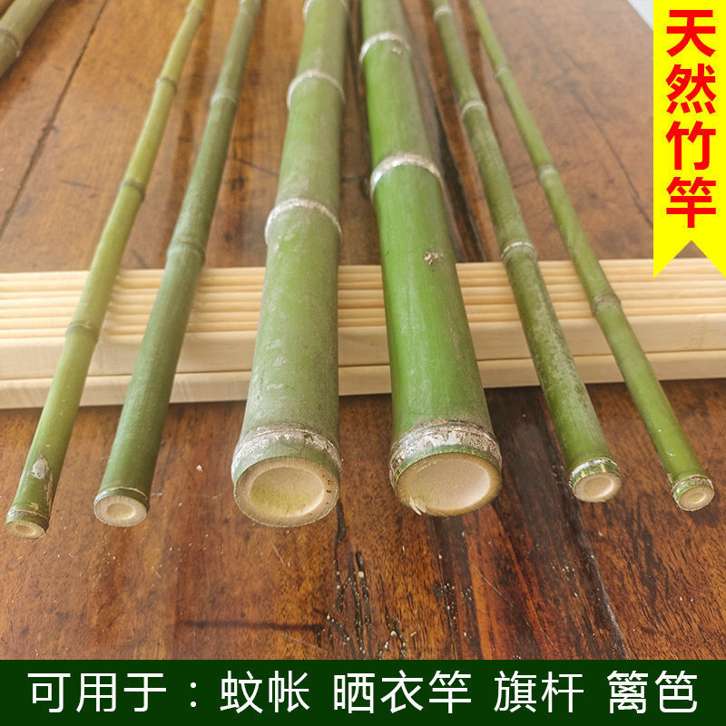 a7f46740-f1ac-4be3-b86b-8949abcc56e8.jpe