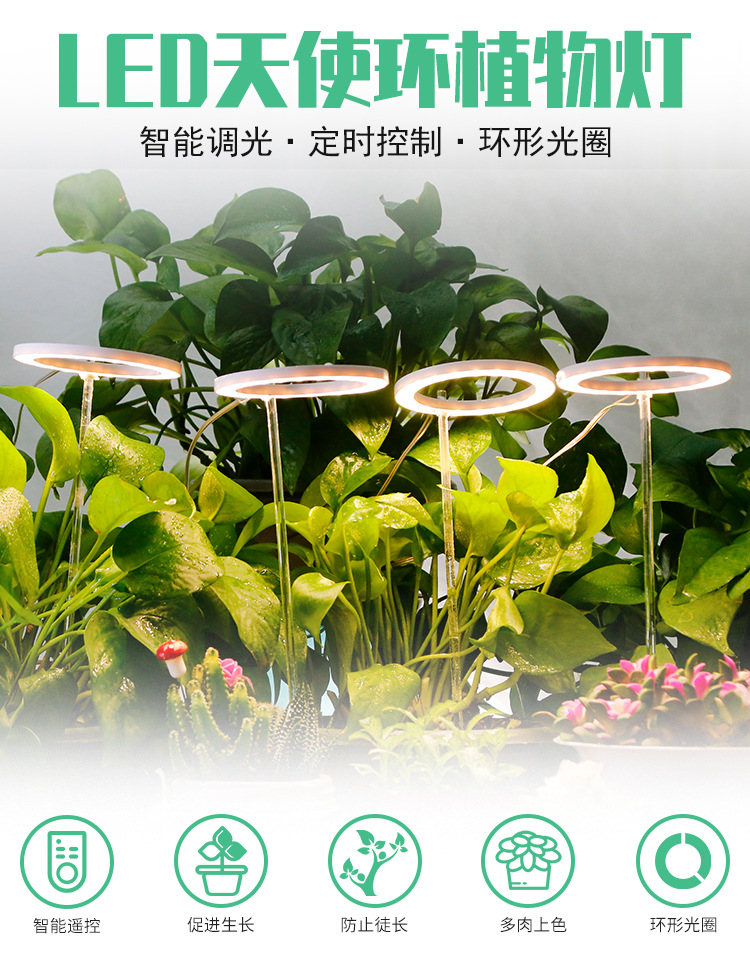 详情页_01.jpg