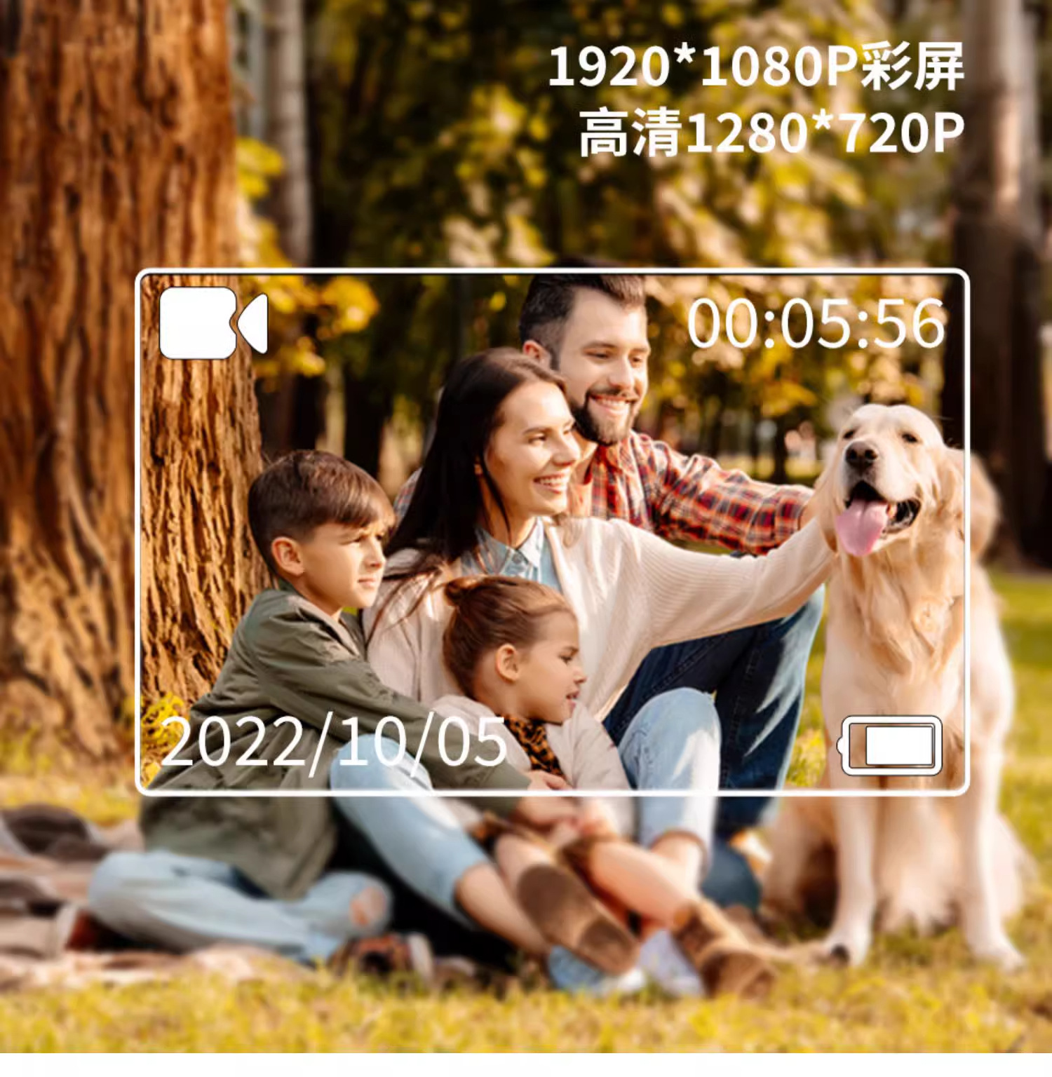 详情9.jpg