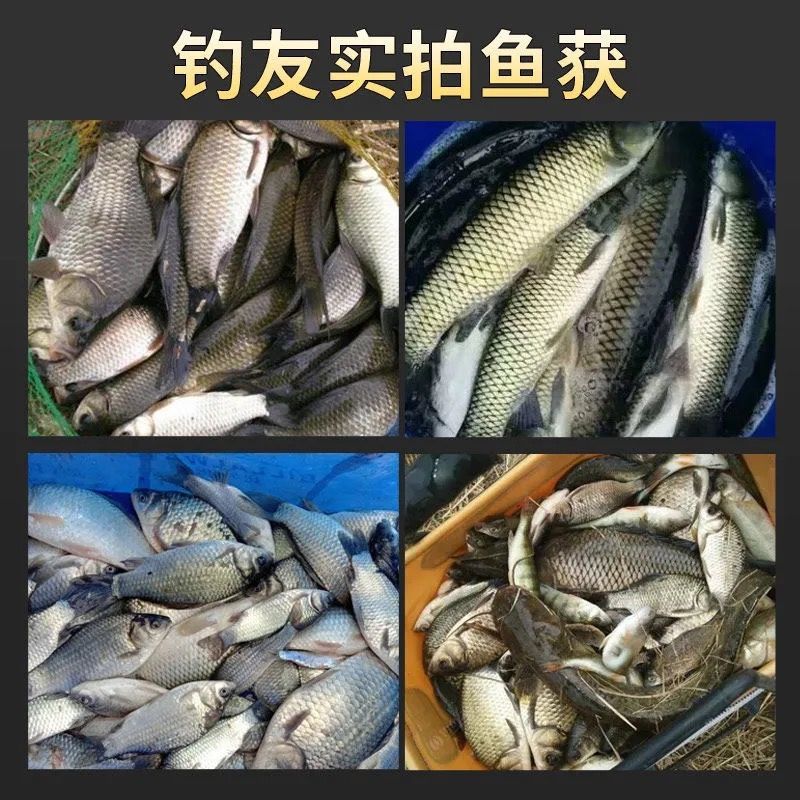 384cf2b6-2181-422b-a725-1cde7ee31cb0.jpe