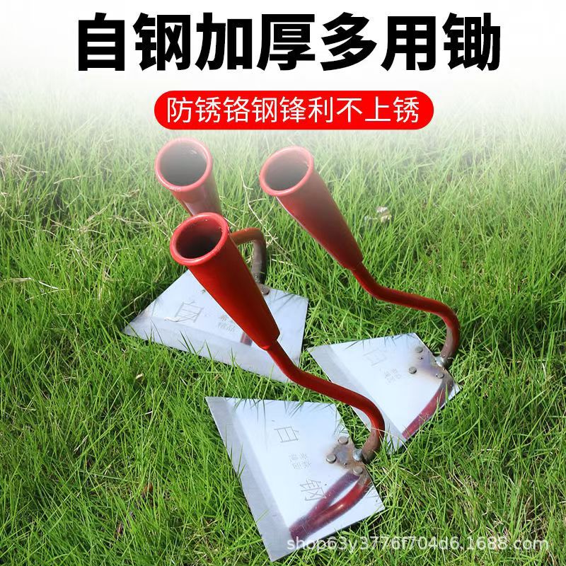 微信图片_202504081356132.jpg