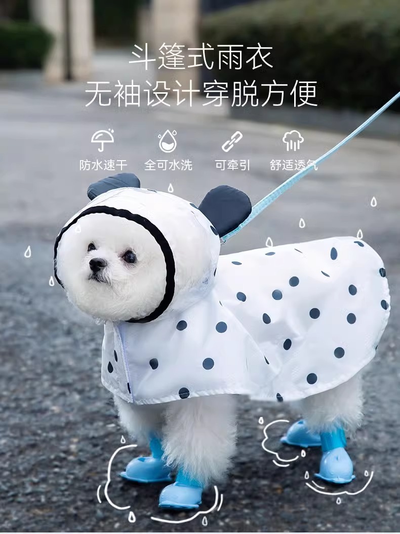 ba73c981-a3d6-45d2-9d20-76d83033feaf.jpe