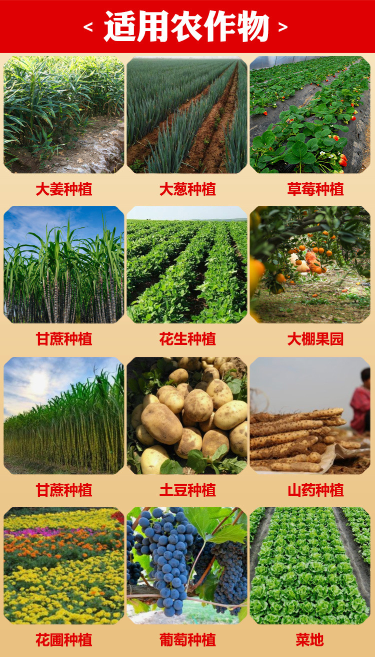 77e662a0-6302-4623-9341-55f628ce96e6.jpe