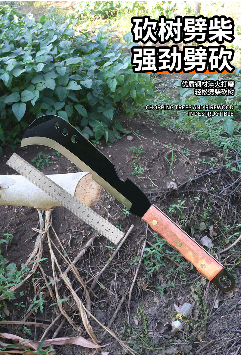 未标题-1_07.jpg