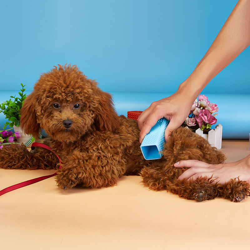 11331037783_2053819502