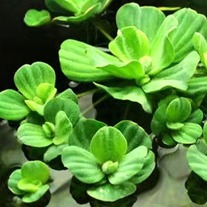 a68c78d7-9946-4a11-a087-2640c98ce910.jpe