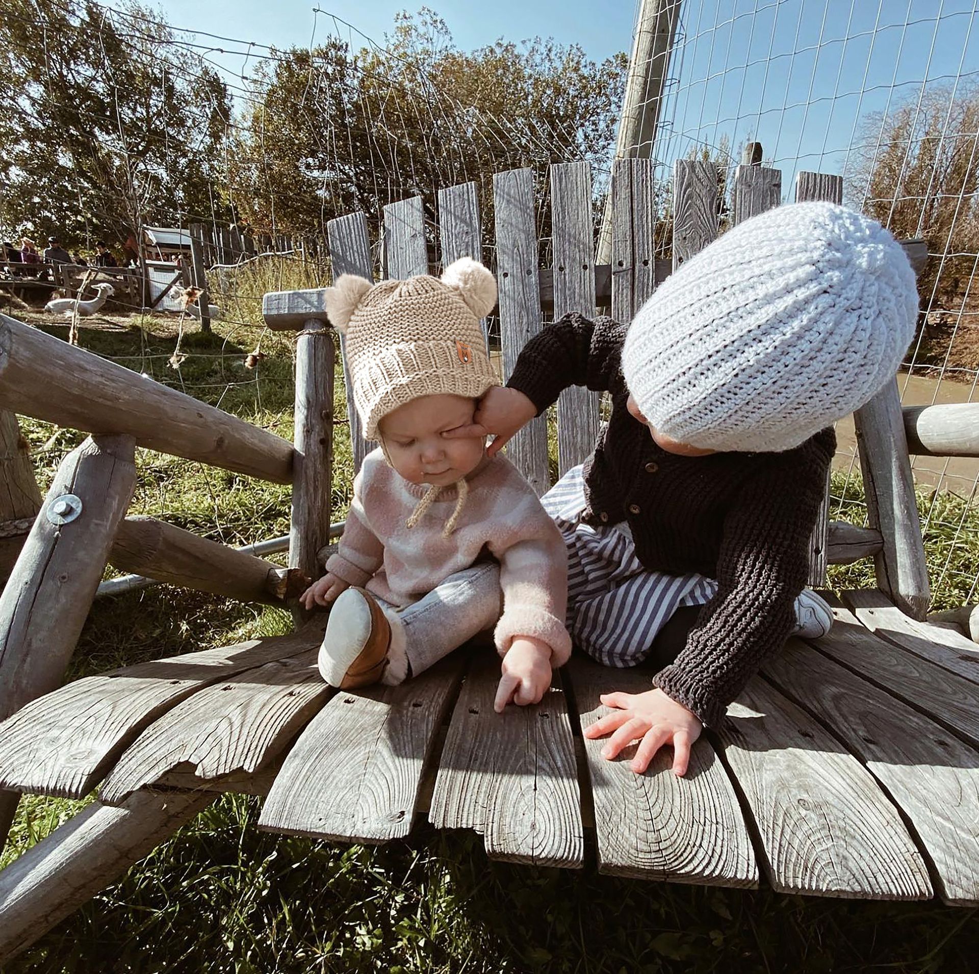 04 (6).jpg