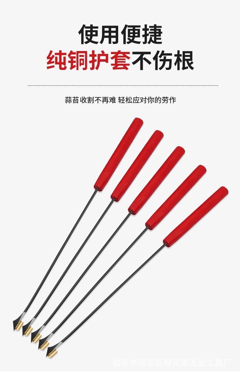 微信图片_202504141525171.jpg