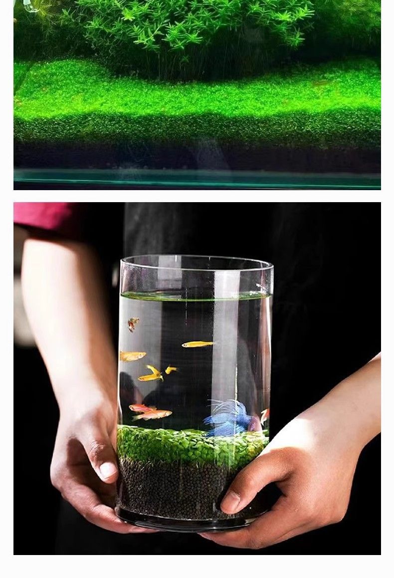 22cc98bd-5597-4717-ae10-bb1c33fb4e14.jpe