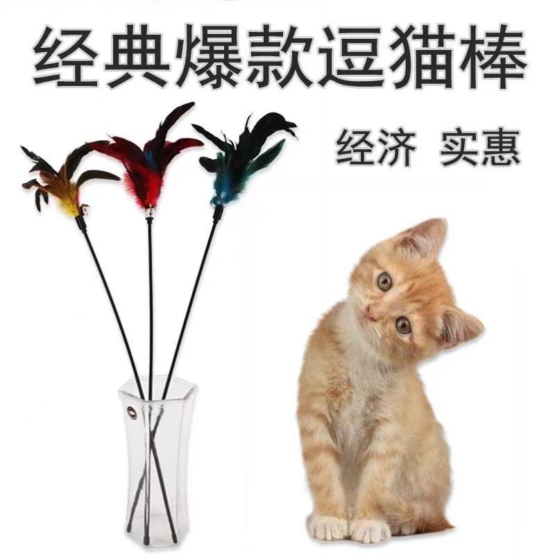 9785bb9c09d8050be6331a20021330