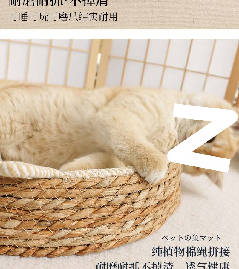 a146ec61-c90c-4531-9b7b-1728ac452c2e.jpe