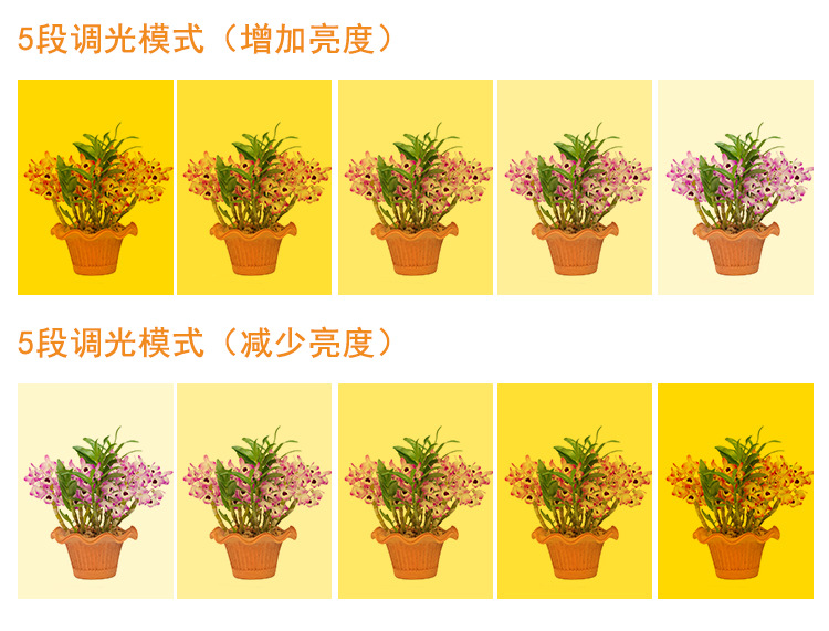 详情页_04.jpg