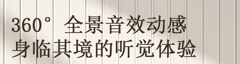 ZR8详情4