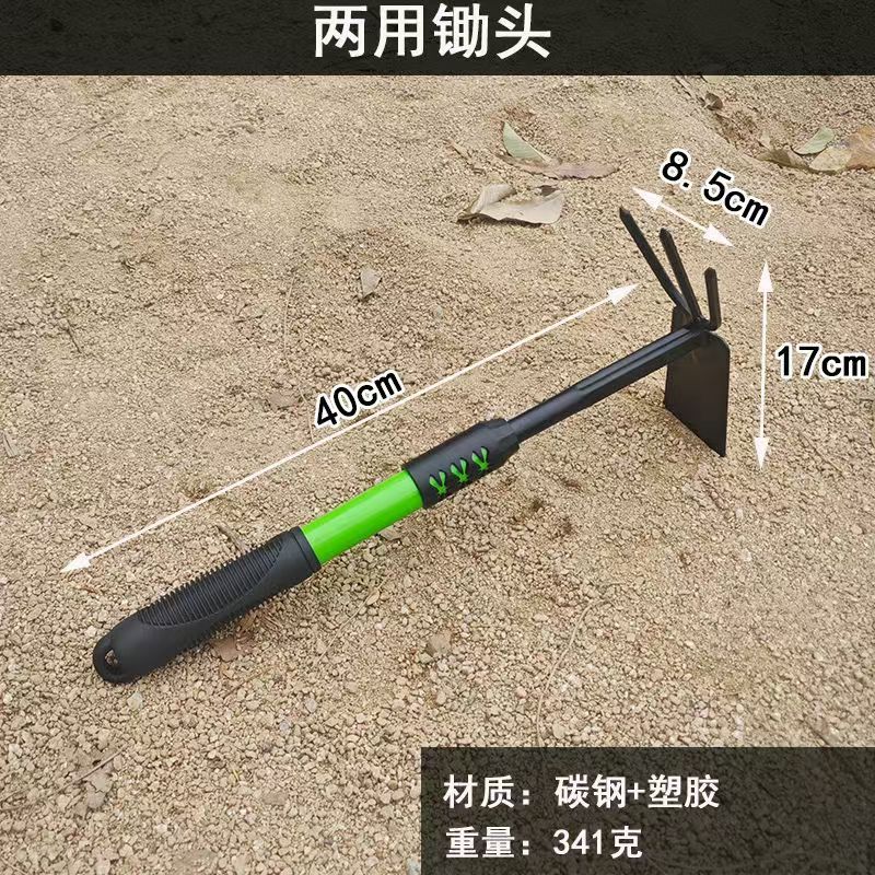 微信图片_20241221110803