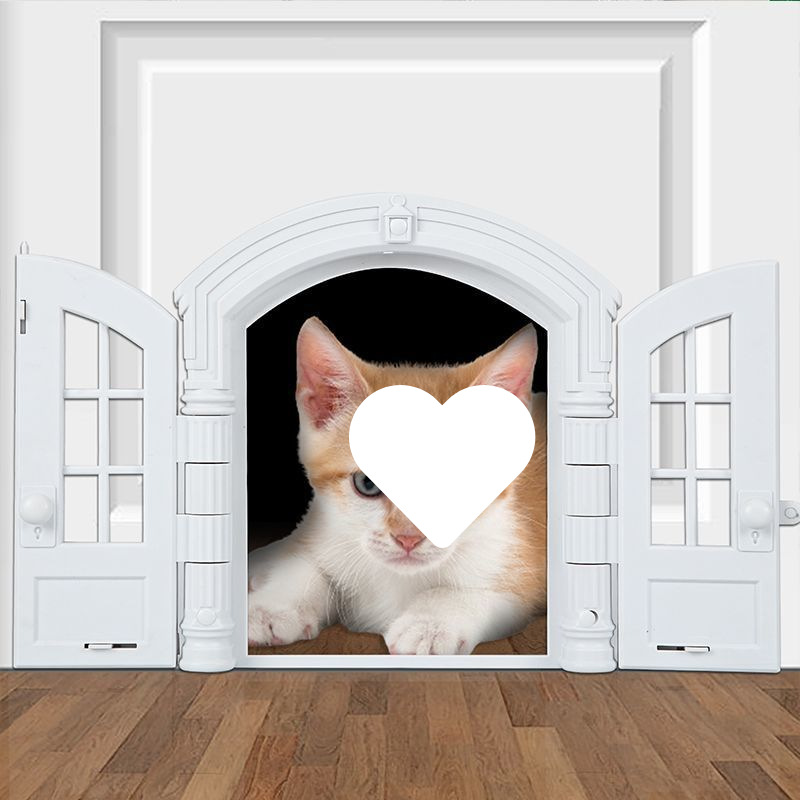 681b0fb4-b4f6-4bc8-8e72-5455693e7c54.jpe