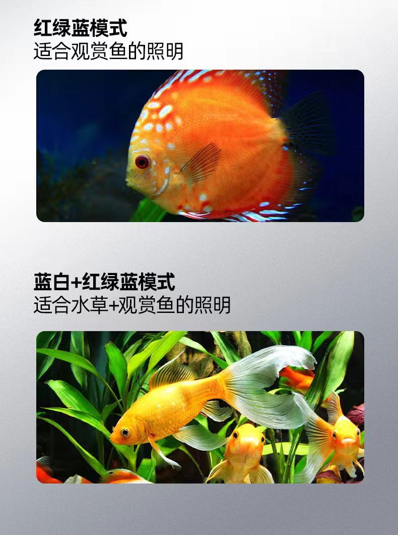 c6b423a8-0d96-40c2-a518-2f92a4dc6b85.jpe