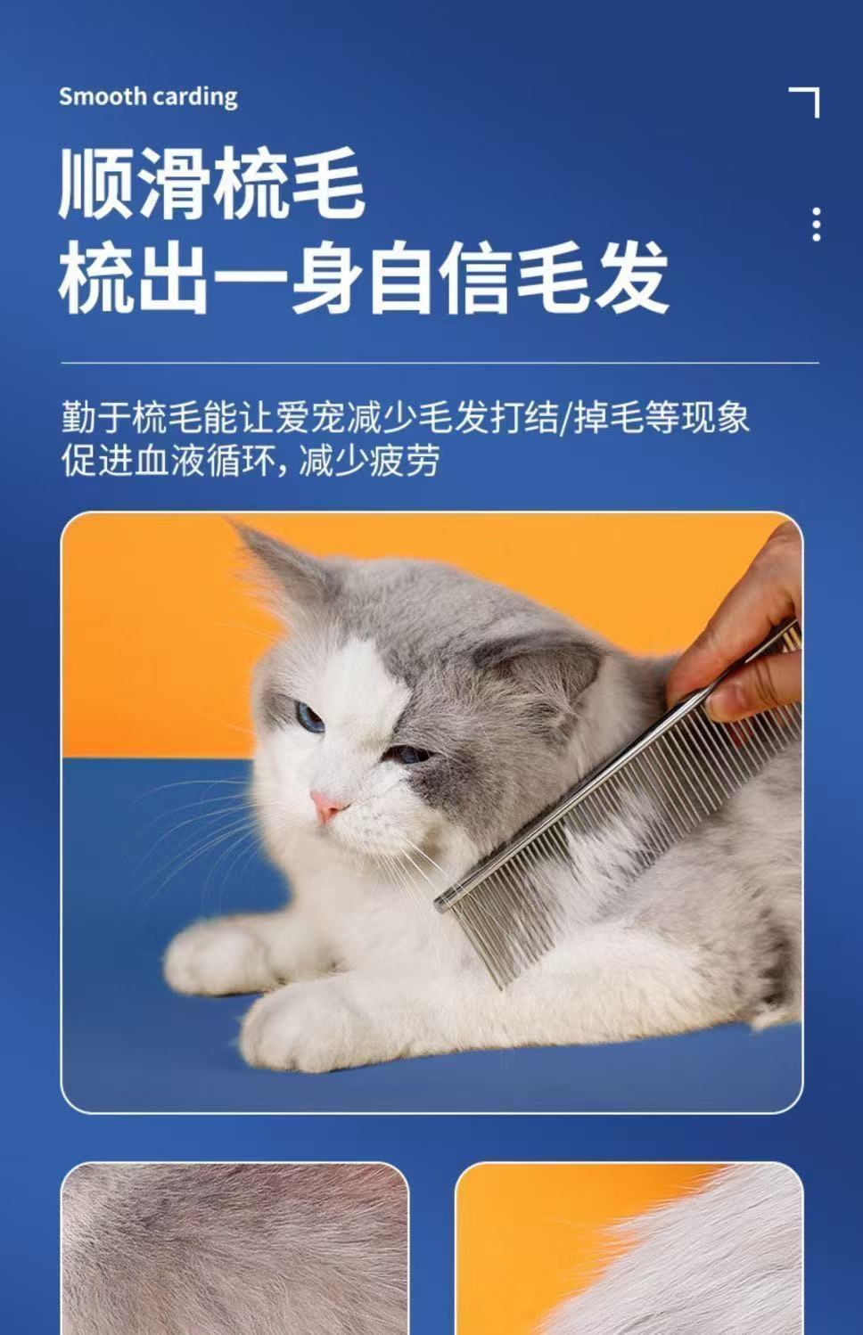 af7b9e19-db3e-47d2-a316-92f498d6af8d.jpe