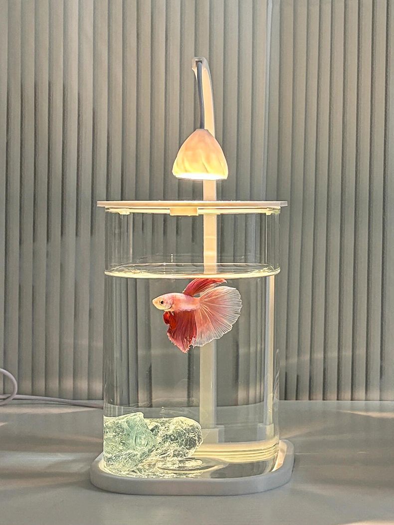 69e1b74c-1748-44b1-888f-f28d7f7d3d85.jpe