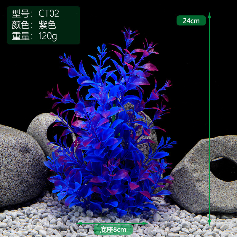 CT02紫色.jpg