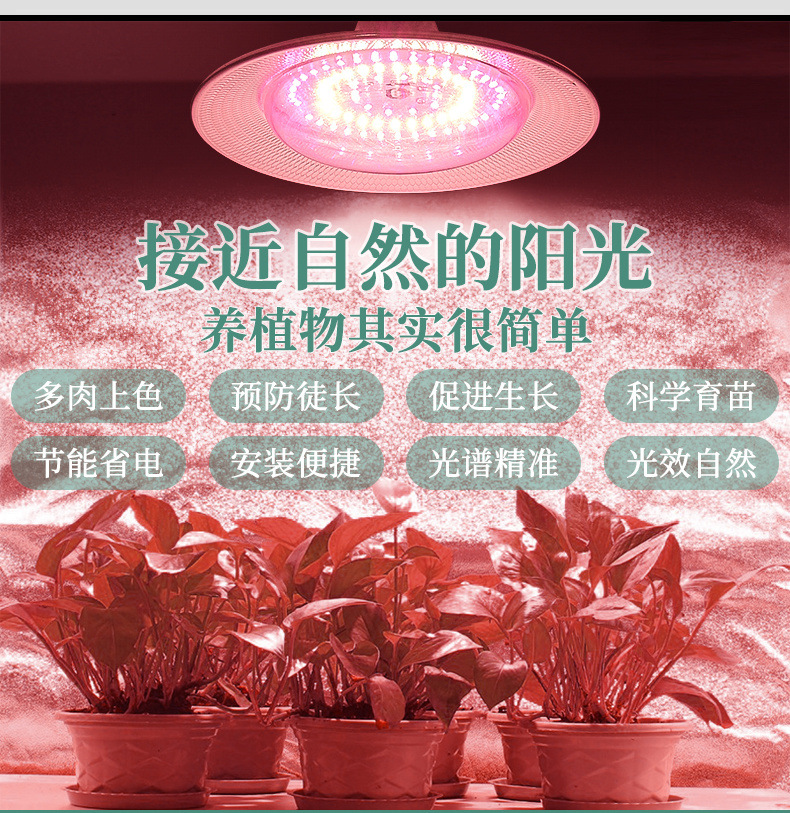 a0bdb8ac-d3d1-4112-926a-fd9cf39c25c4.jpe