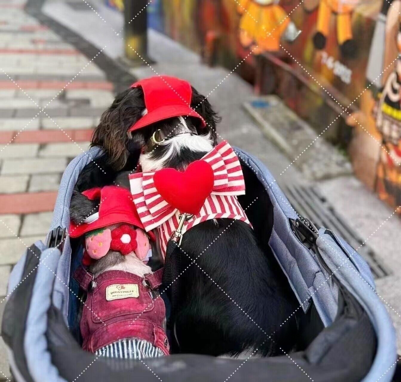 QQ图片20230809095510