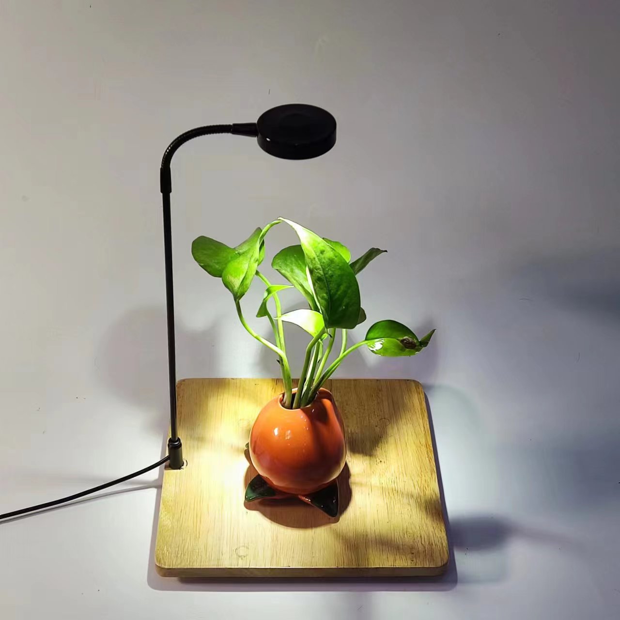 微信图片_20231114224523