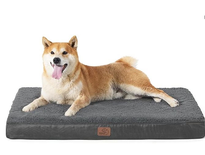 微信截图_20250304091435