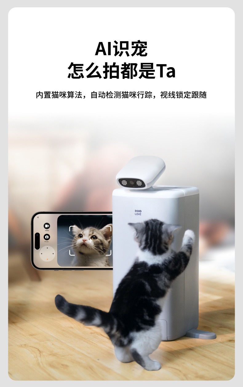 02949068-2db7-4c99-9cd2-d49d5c86746a.jpe