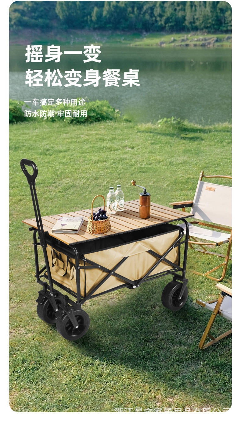 户外露营车  (10)