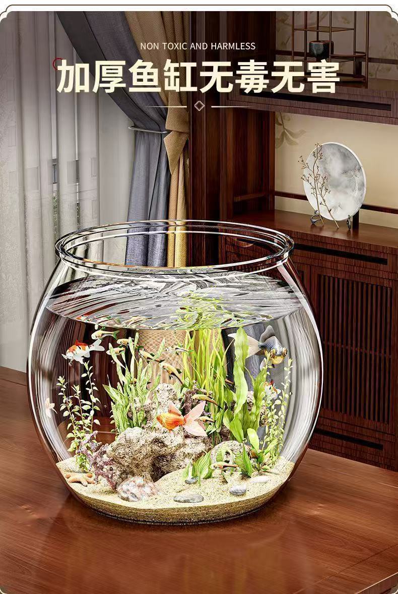 5bf55301-2938-4a4b-96c4-076a1126fcdc.jpe