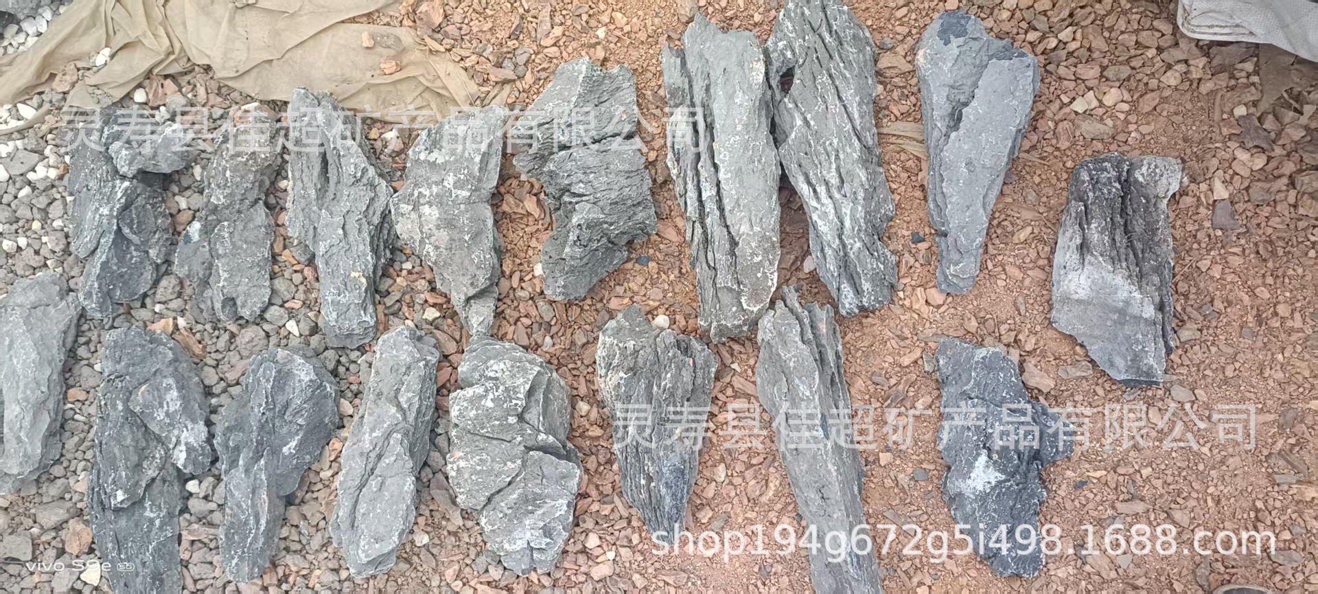 微信图片_20250601071641