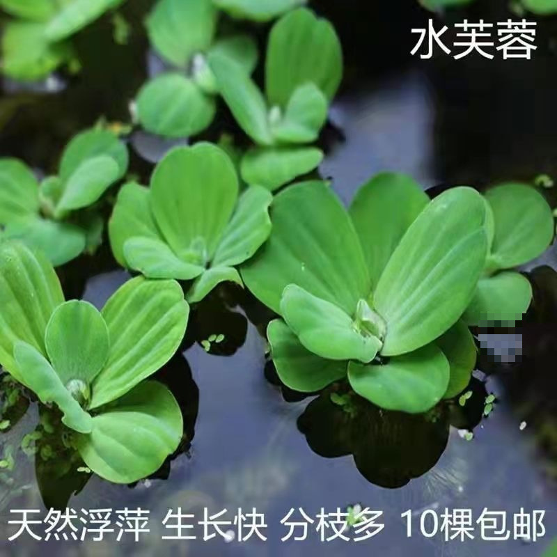 b4ce7caa-7cef-4d22-998e-f82c6a12623c.jpe