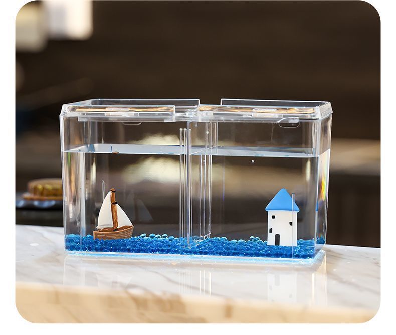 ee214ad2-31e5-4862-aaa2-37f4f1d32594.jpe