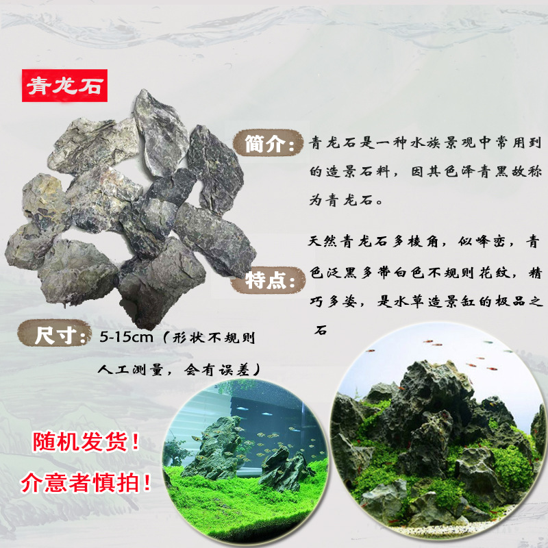 青龙.jpg