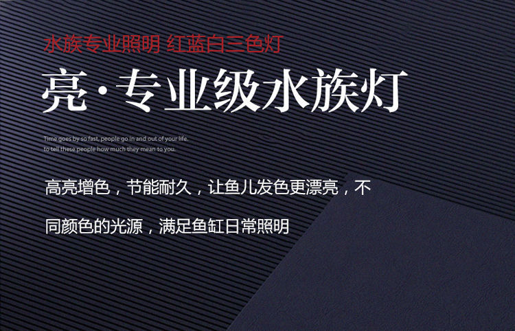 fea314f9-1b60-4b18-8f87-b7c70a9aa7b9.jpe