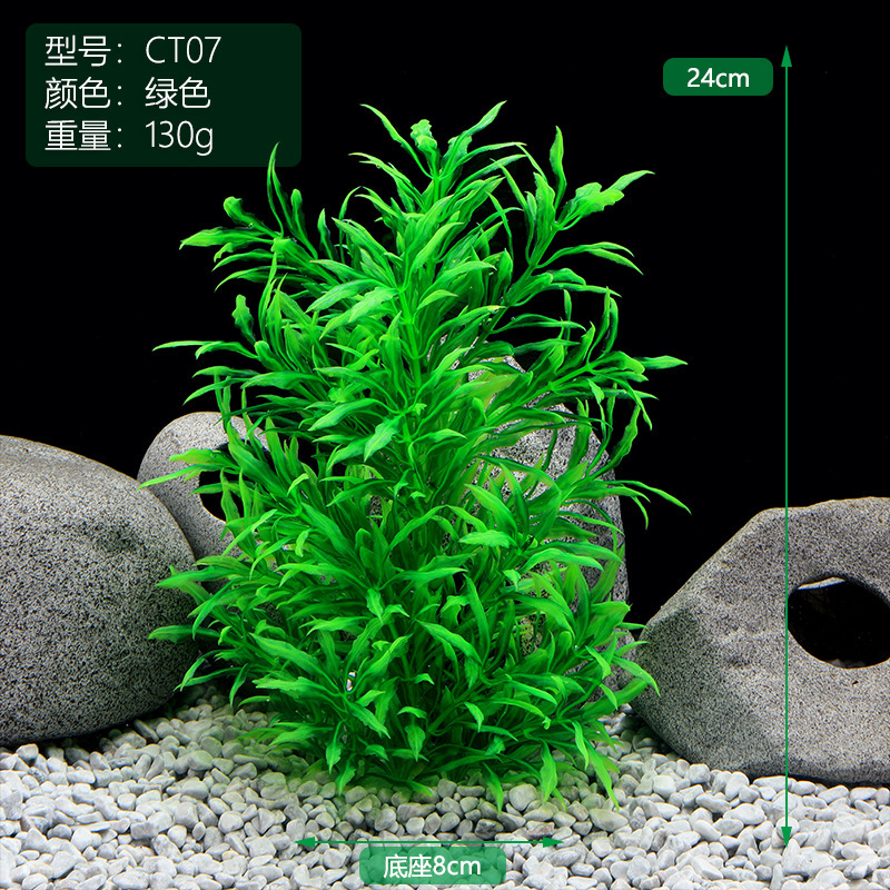CT07绿色.JPG