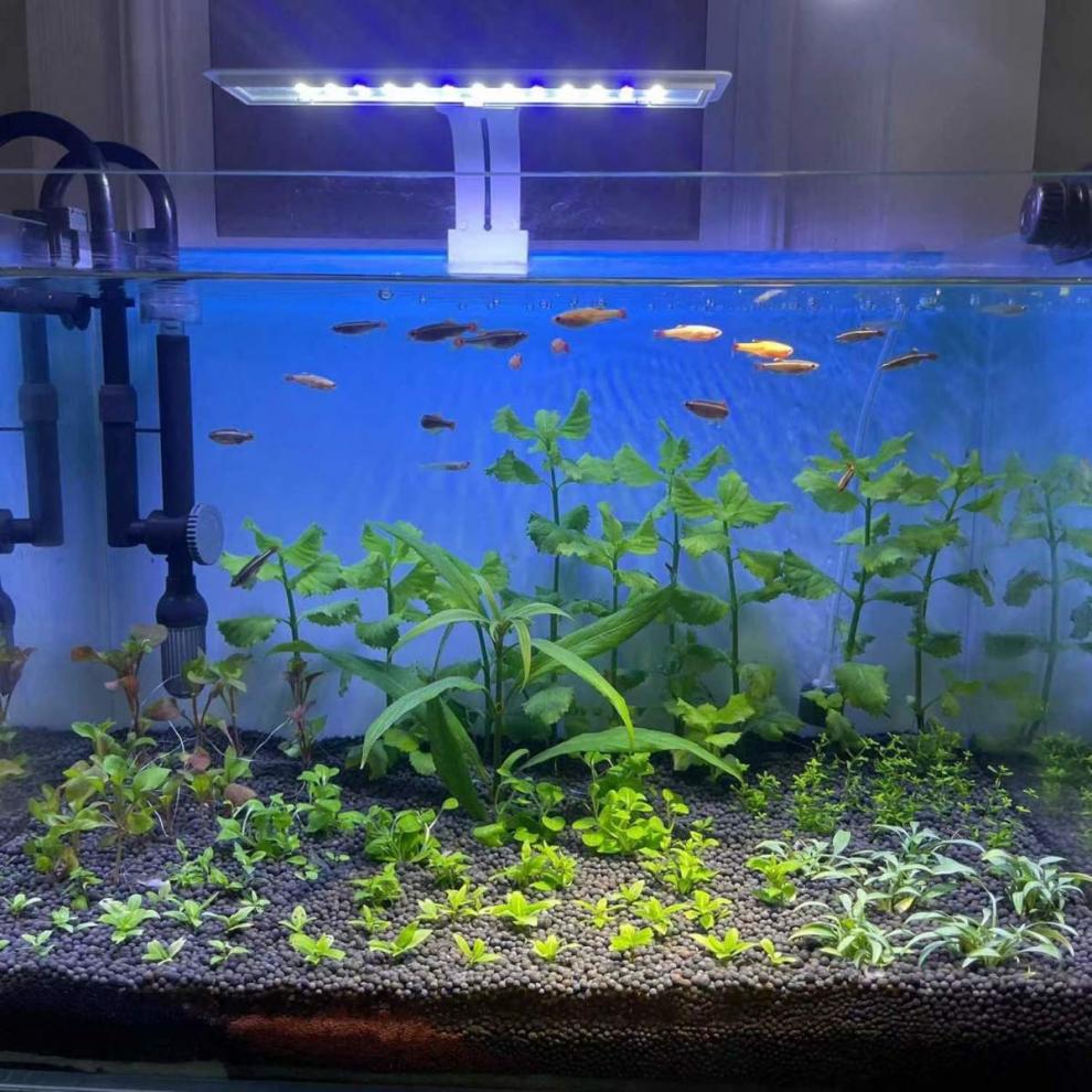 05008adb-cd68-4026-a063-372a2322938b.jpe