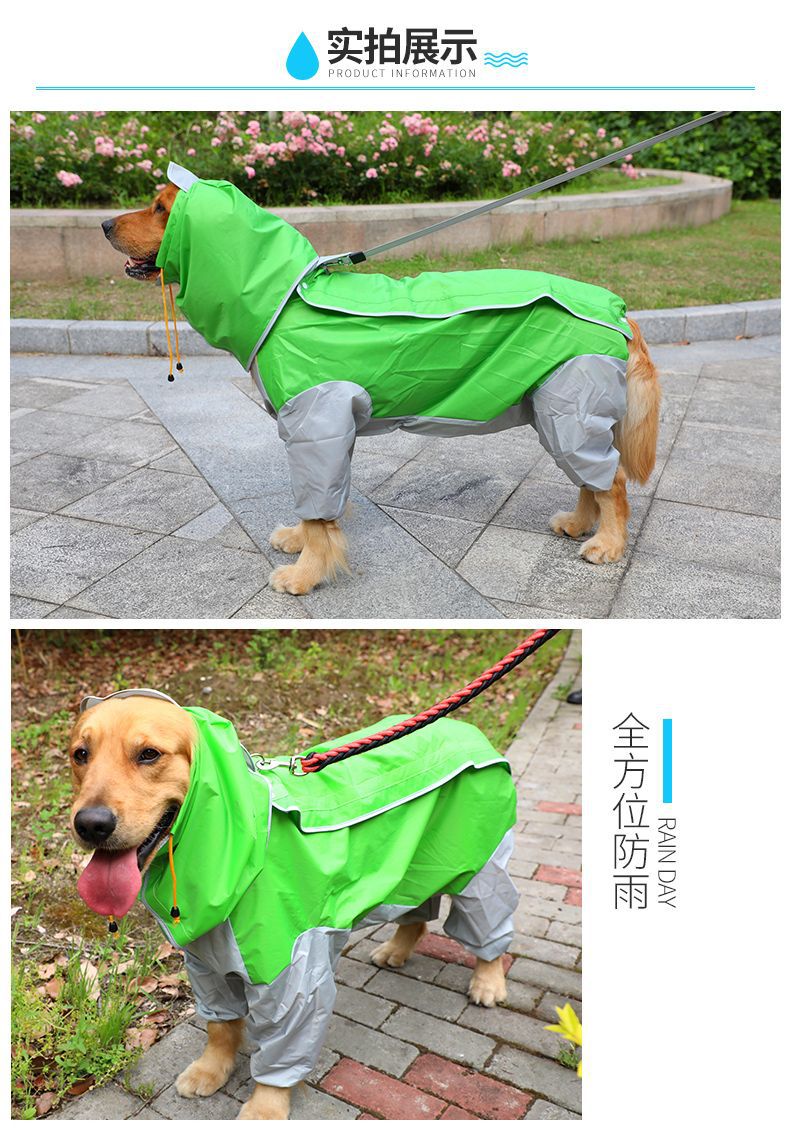 jpeg_m_0f13380c2e4ee34f4cafd2299d6b532c_