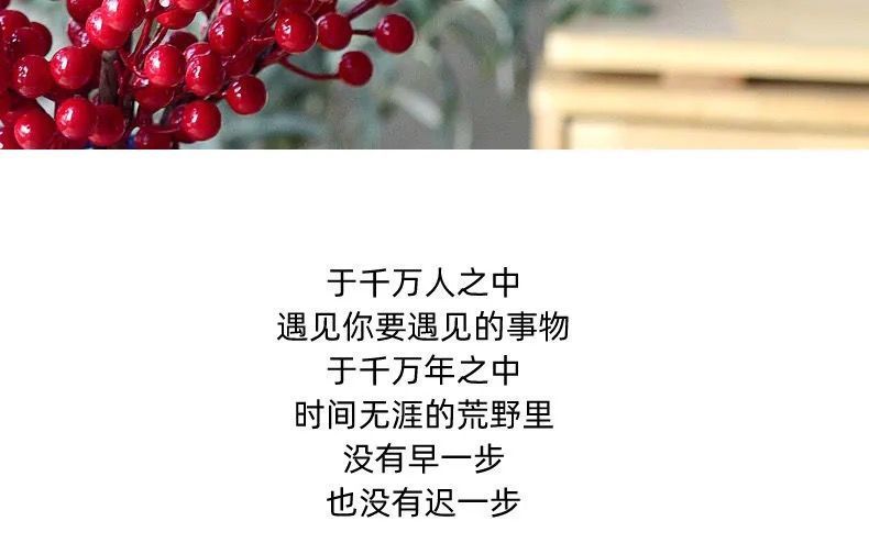 58a09f17-b56e-4494-bee6-7f8265bb20d5.jpe