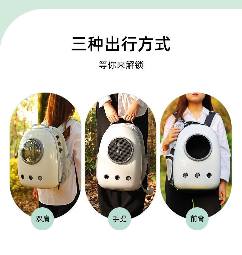 a9d9b376-9dfe-4544-81ce-ff15a3958f6a.jpe