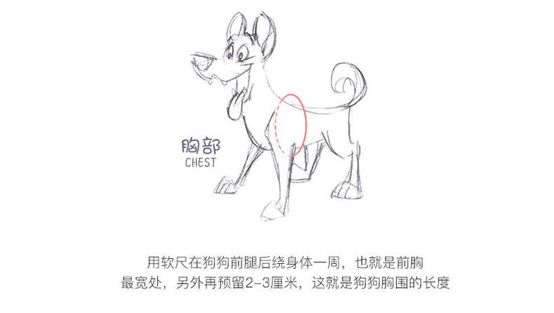 详情_04.jpg