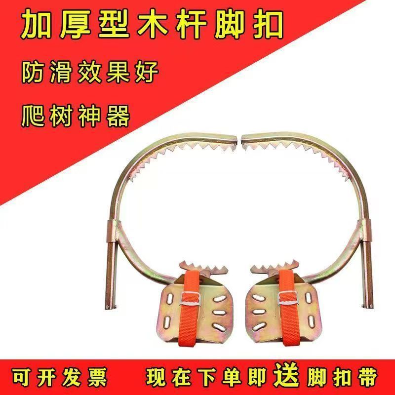 微信图片_20250421234112_155