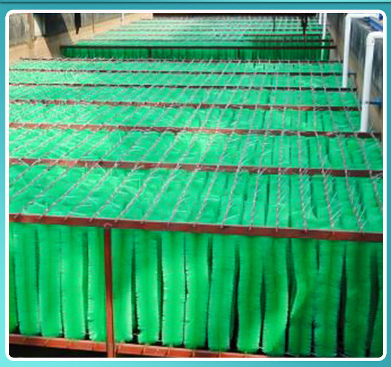 e37e915f-4082-44ec-8a22-787093293f7a.jpe