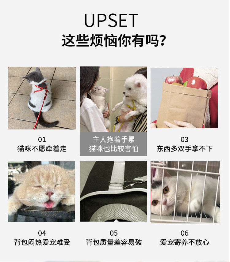 0971d01c-50df-422f-a21c-297cd0d0e1eb.jpe