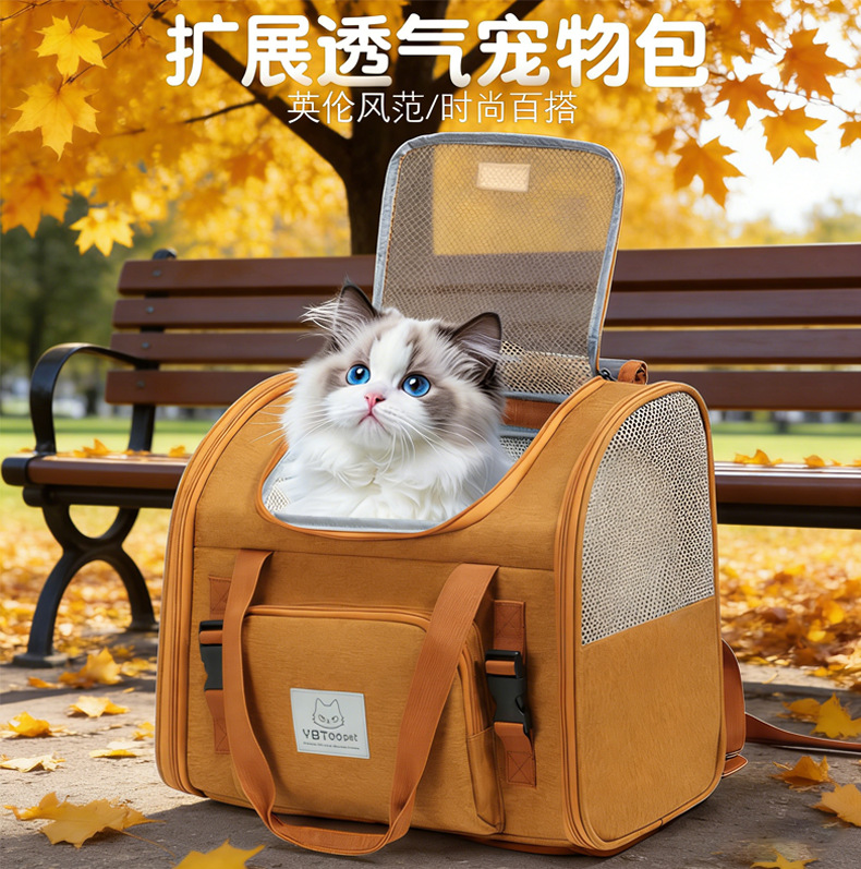 未标题-1_01