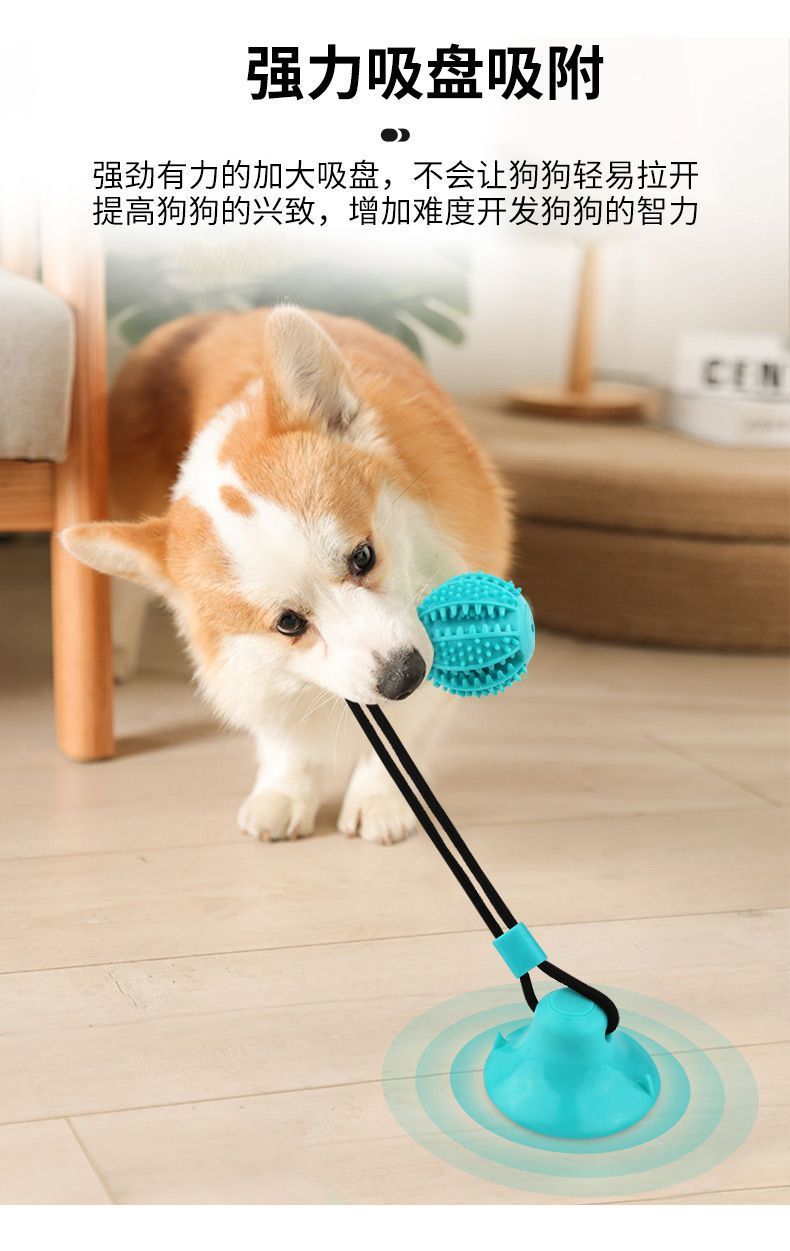 744ea286-0b69-4bc3-86df-898bd912c7fe.jpe