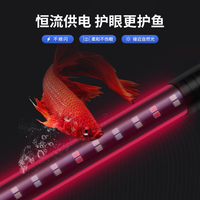 05550232-ec44-4457-a145-a94b75a514b9.jpe