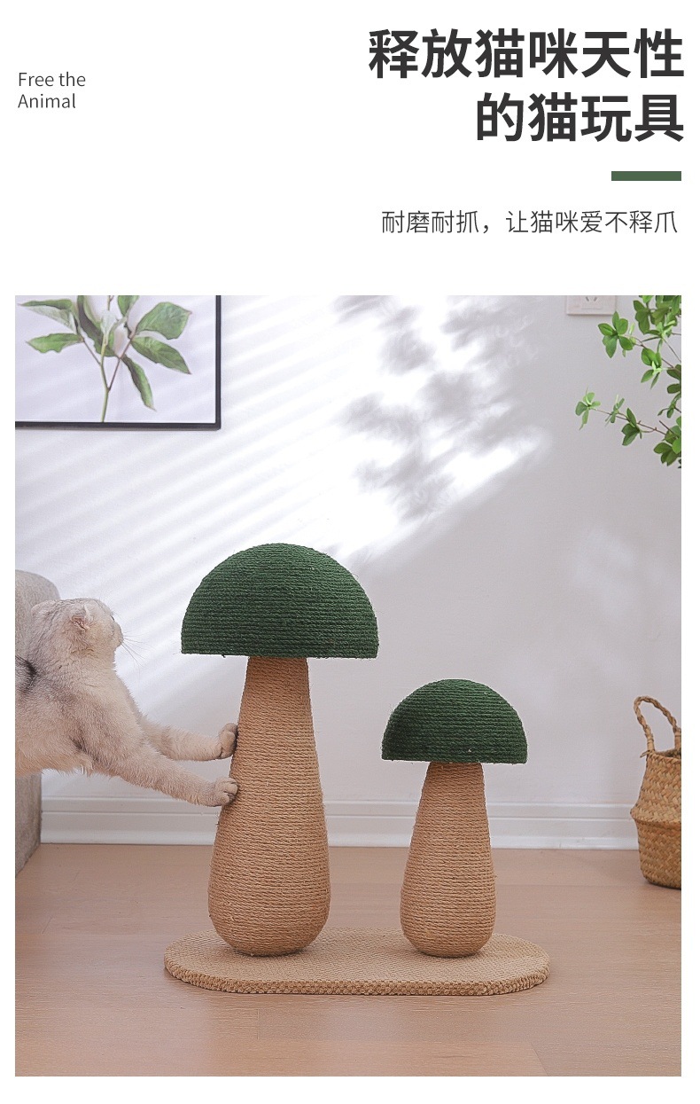 14a97c57-4ece-4c8a-ba48-1c9d9f7afcc7.jpe