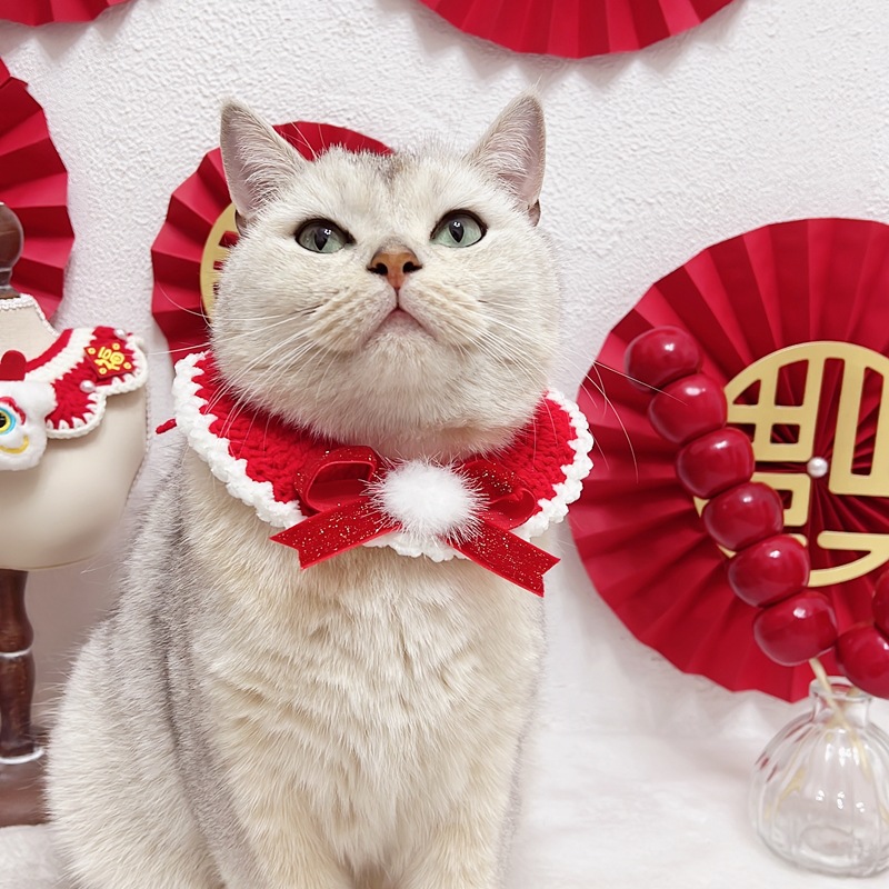 IMG_7695(20231103-232839)_副本