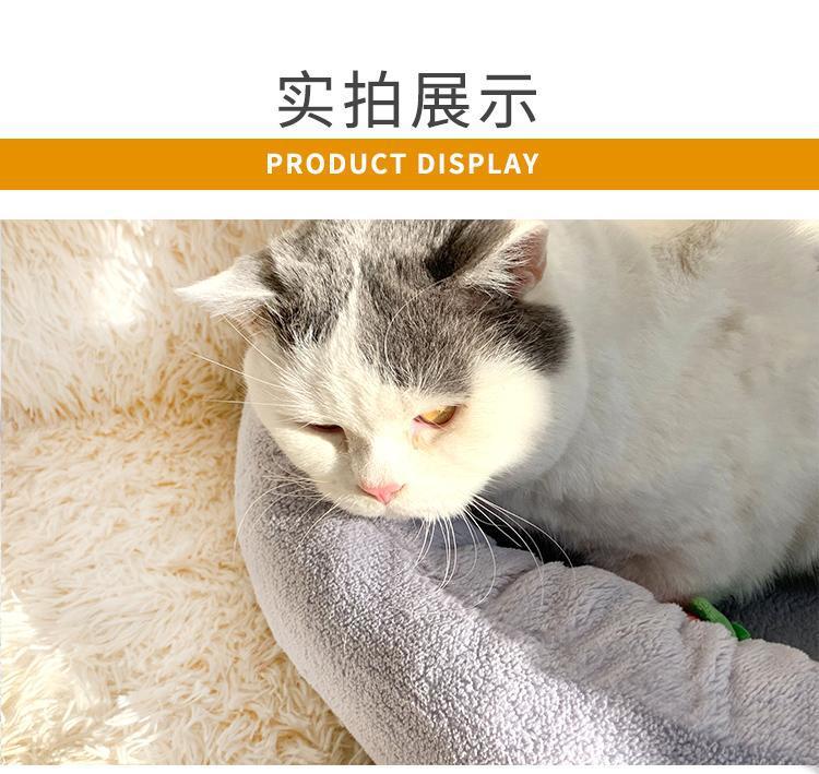 25f70721-6d17-4592-93ad-e56f87fa64fd.jpe